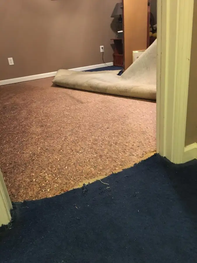 Carpet pad removal revealing water damage during Drying & Dehumidification in Indian River Estates