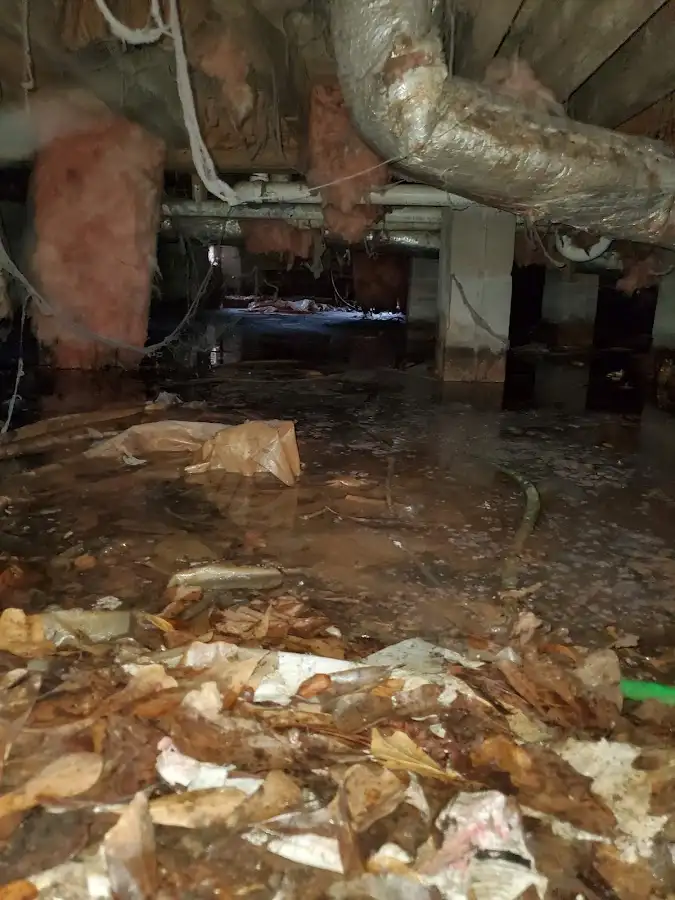 Crawl space flood assessment for Commercial Water Damage Restoration in Indian River Estates